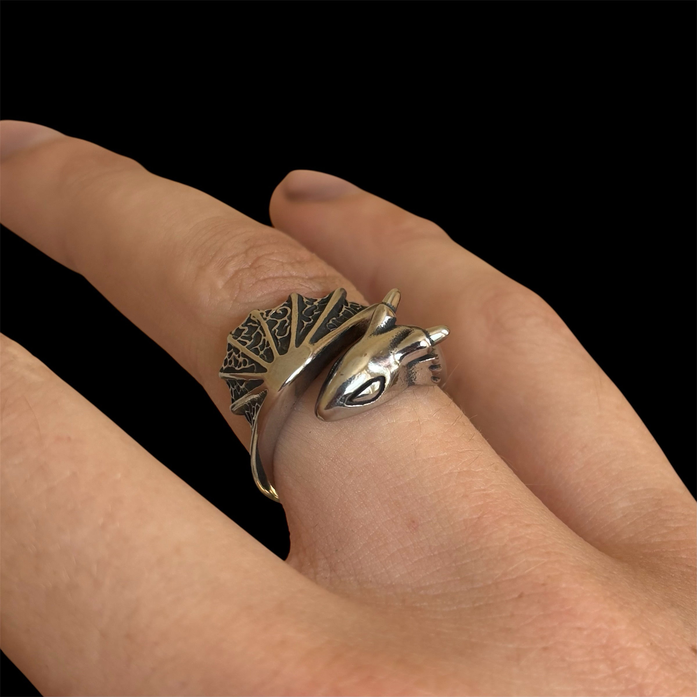 Dragon Wing