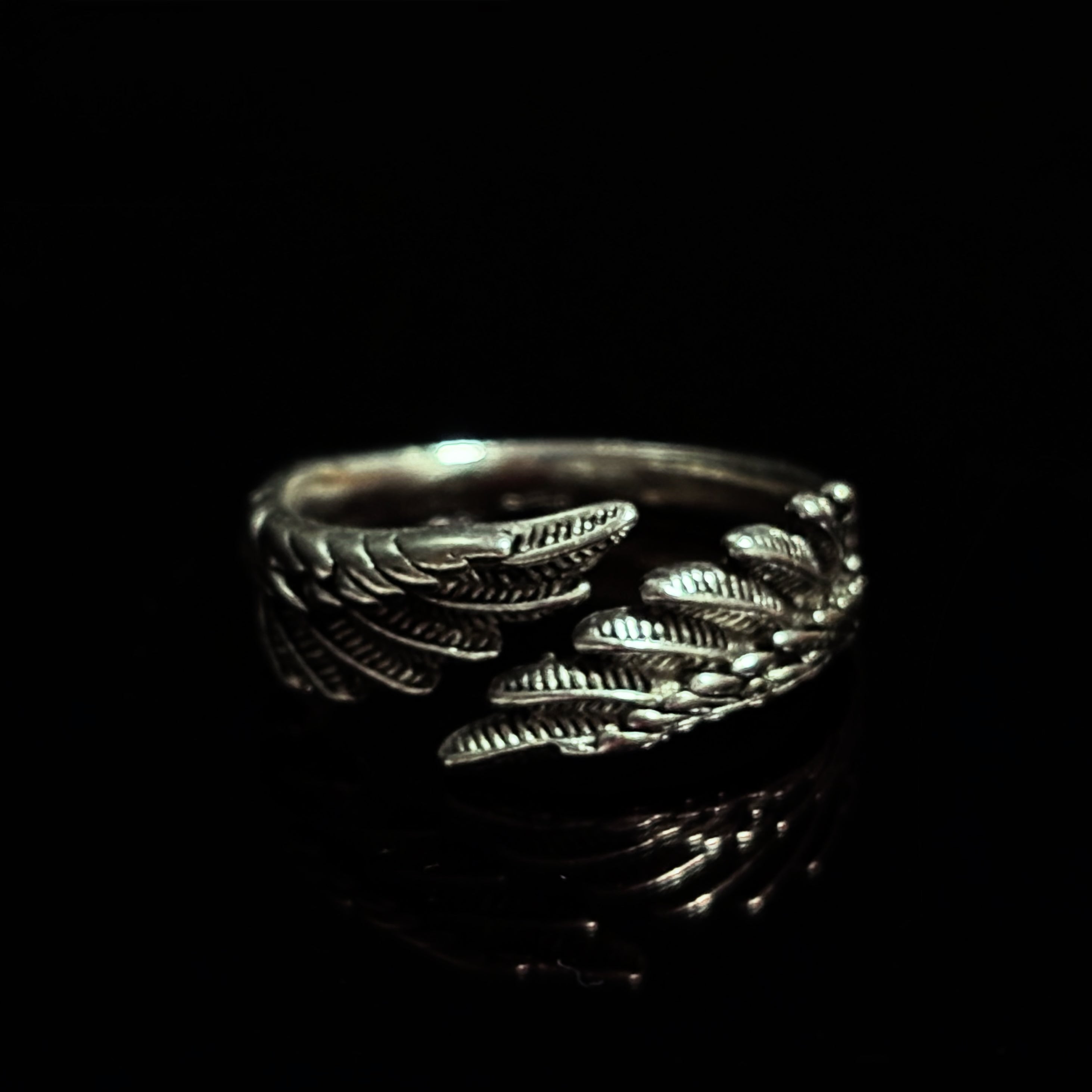 Wings