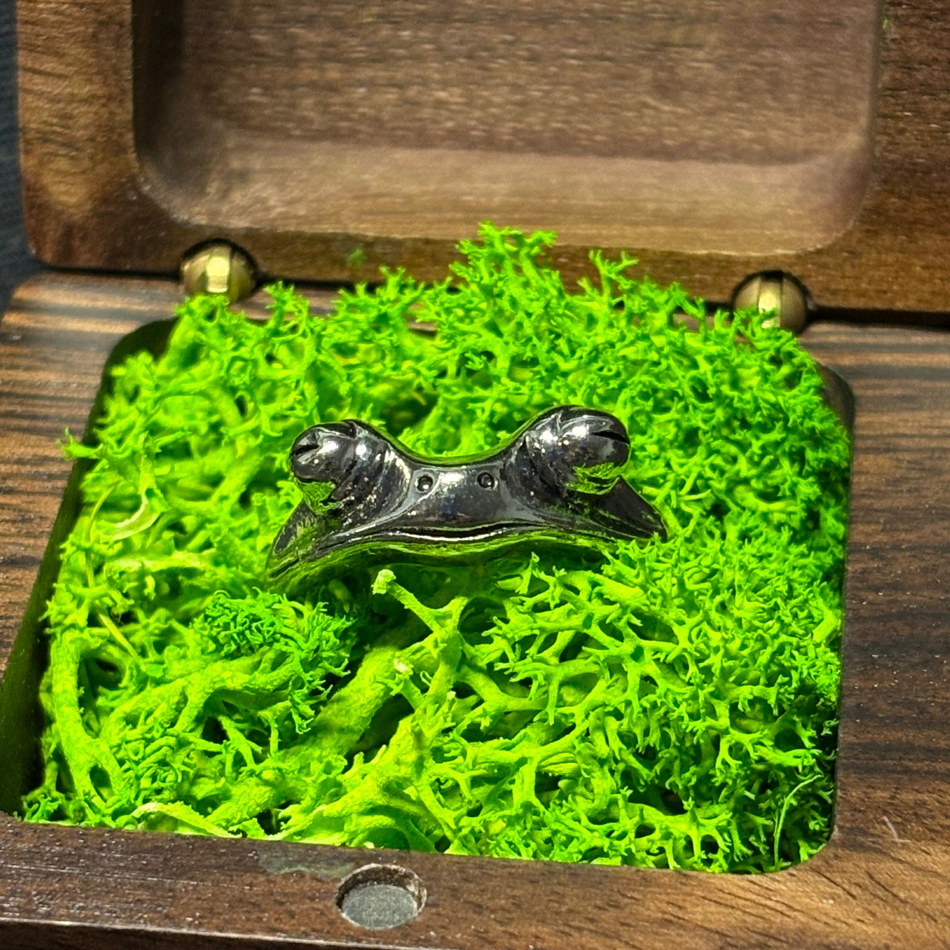 Froggo
